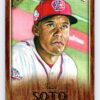 Juan Soto Wood Parallel RC Topps Gallery