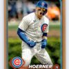 Nico Hoerner /2024 Gold Topps Series 1