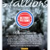 Marcus Sasser RC 2024 Contenders Rookie Stallions