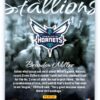 Brandon Miller RC 2024 Contenders Rookie Stallions
